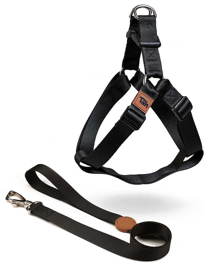 Conjunto Peitoral Step In e Guia Toh Black para Cães - Tam. M
