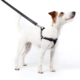 Conjunto Peitoral Step In e Guia Toh Black para Cães