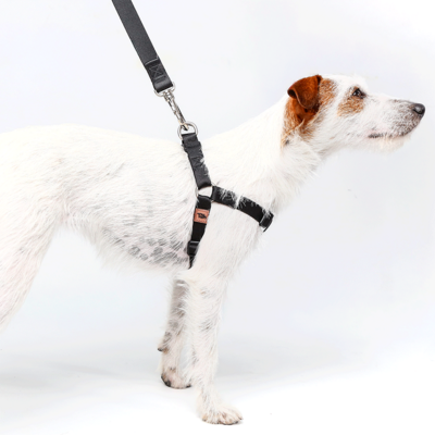 Conjunto Peitoral Step In e Guia Toh Black para Cães