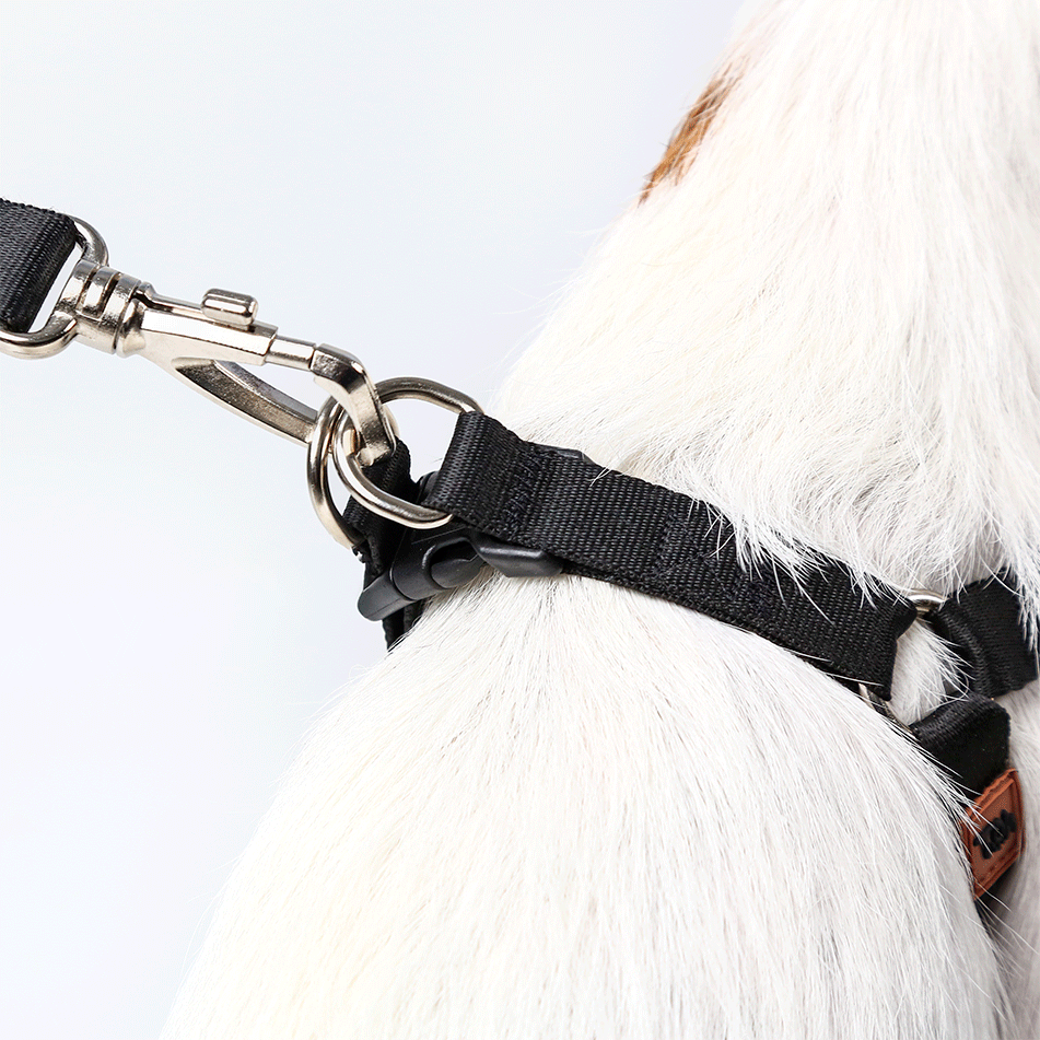 Conjunto Peitoral Step In e Guia Toh Black para Cães - Tam. M
