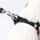 Conjunto Peitoral Step In e Guia Toh Black para Cães
