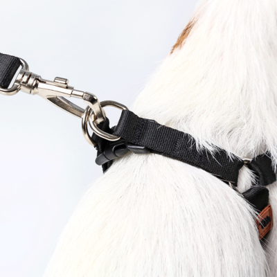 Conjunto Peitoral Step In e Guia Toh Black para Cães