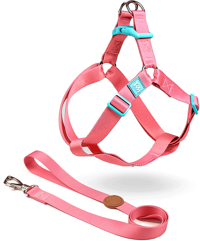 Conjunto Peitoral Step In e Guia Toh Fiji para Cães - Tam. P