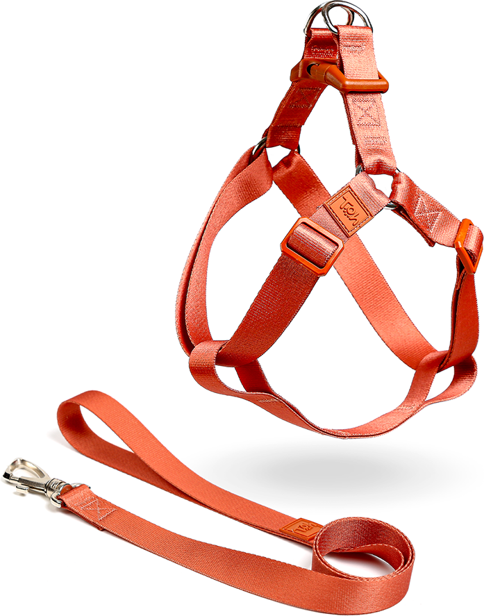 Conjunto Peitoral Step In e Guia Toh Coral para Cães - Tam. P
