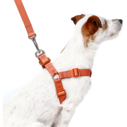 Conjunto Peitoral Step In e Guia Toh Coral para Cães - Tam. M