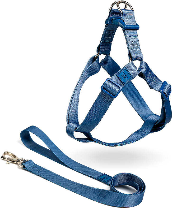 Conjunto Peitoral Step In e Guia Toh Marine para Cães - Tam. M