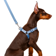 Conjunto Peitoral Step In e Guia Toh Marine para Cães - Tam. M