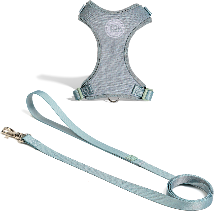 Conjunto Peitoral H e Guia Toh Neo Alga para Gatos - Tam. Único
