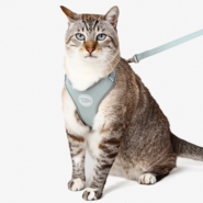 Conjunto Peitoral H e Guia Toh Neo Alga para Gatos - Tam. Único