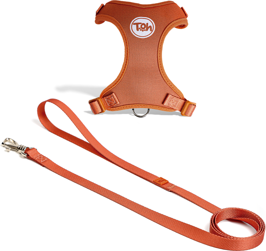 Conjunto Peitoral H e Guia Toh Neo Coral para Gatos - Tam. Único