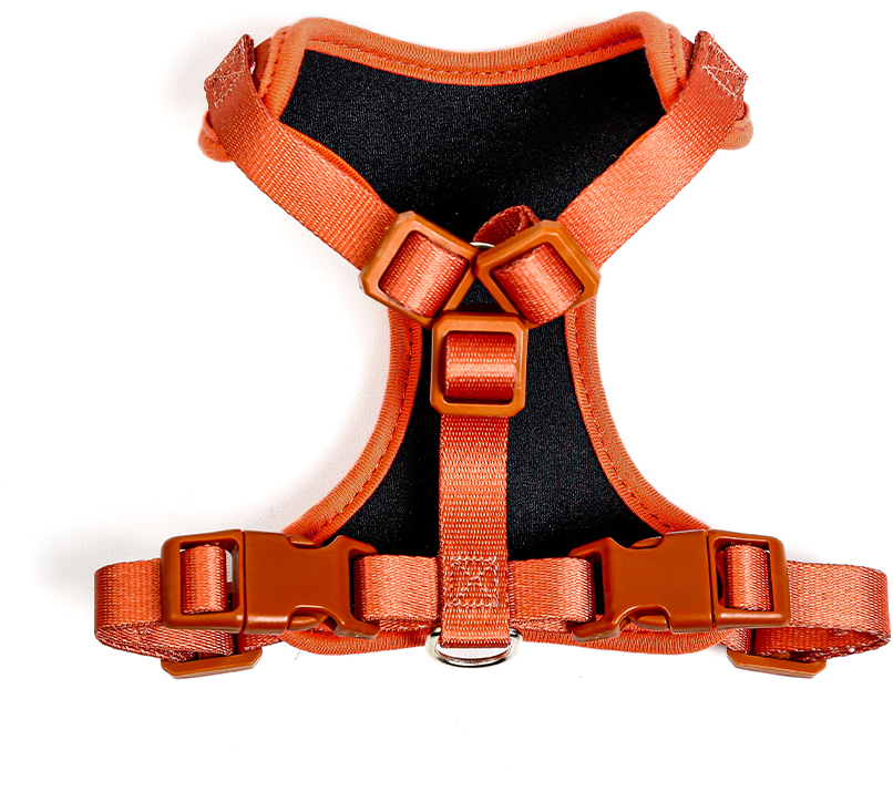 Conjunto Peitoral H e Guia Toh Neo Coral para Gatos - Tam. Único
