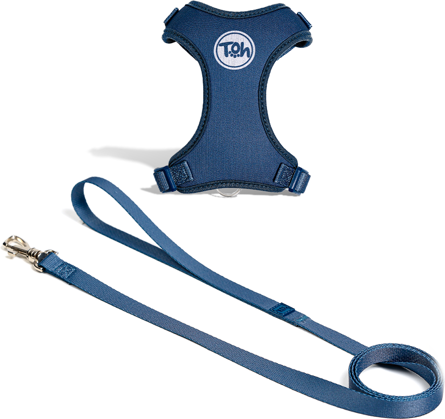 Conjunto Peitoral H e Guia Toh Neo Marine para Gatos - Tam. Único