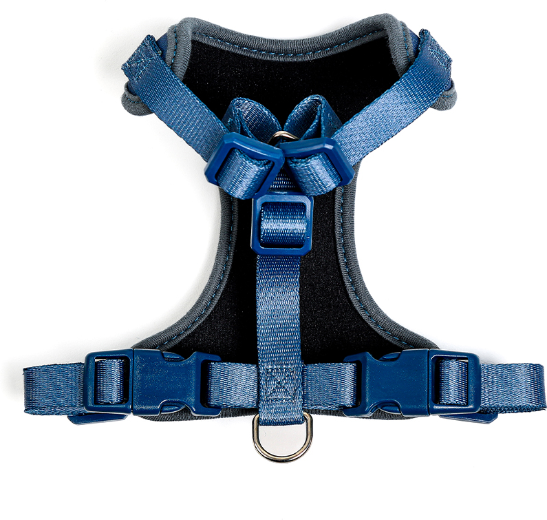 Conjunto Peitoral H e Guia Toh Neo Marine para Gatos - Tam. Único