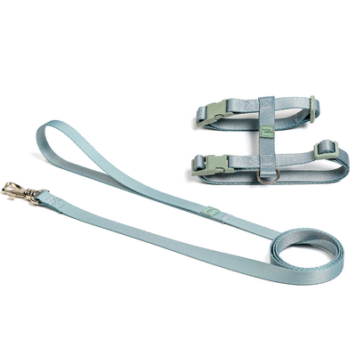 Conjunto Peitoral H e Guia Toh Alga para Gatos