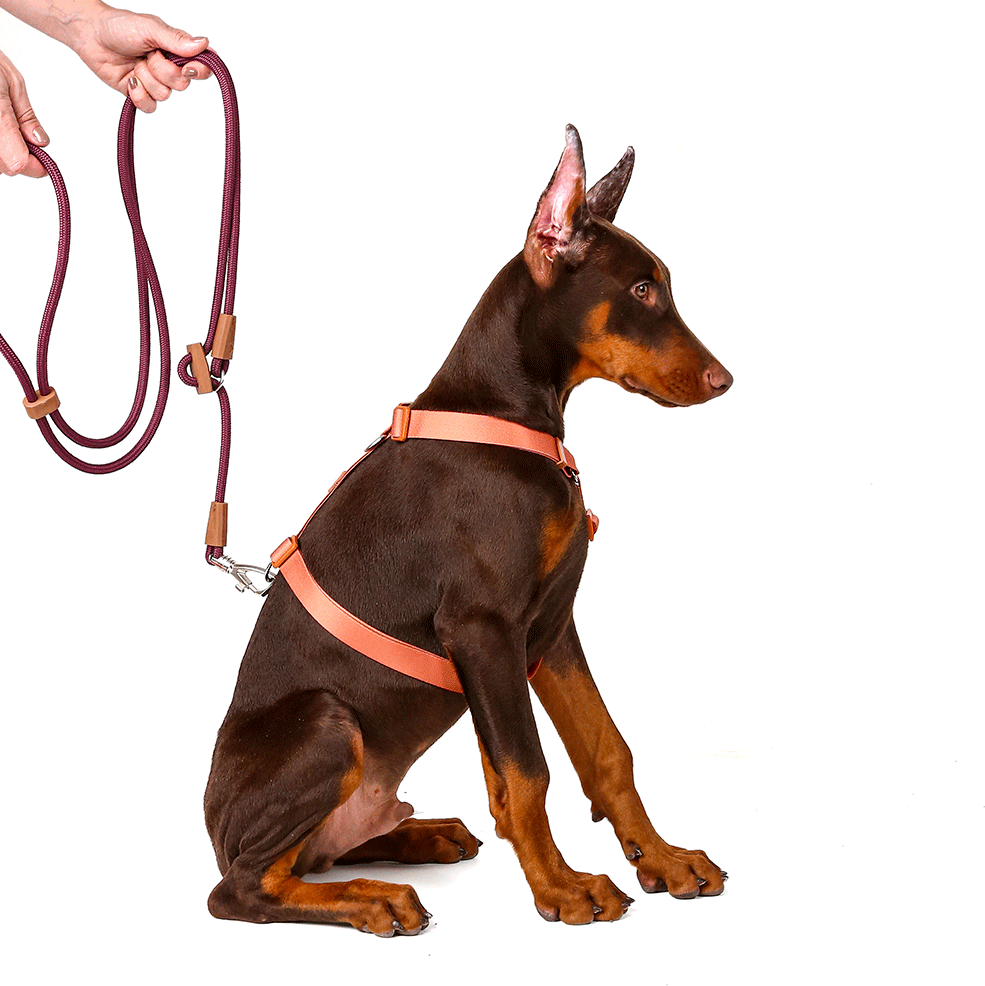 Guia Livre Toh Bordo para Cães - Tam. Único