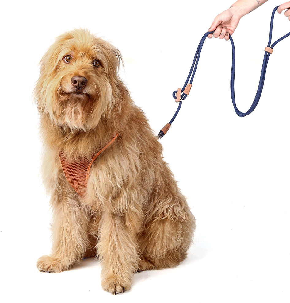 Guia Livre Toh Marinho para Cães - Tam. Único
