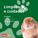 Shampoo Sanol Vet + Verde para Roedores, Coelhos/Furões