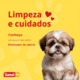Eliminador de odores Sanol Dog Citronela para Ambientes