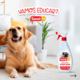 Educador Sanol Stop Dog para Cães e Gatos