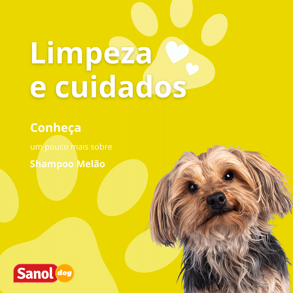 Shampoo Melão Sanol Dog Powerfruits Amarelo - 500 mL