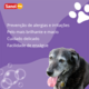 Shampoo Sênior Sanol Dog Roxo