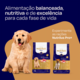 Ração Seca Nutrilus Pro+ Frango & Carne para Cães Filhotes de Raças Médias e Grandes04