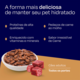 Ração Úmida Nutrilus Sabor Carne para Cães Adultos02