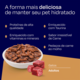 Ração Úmida Nutrilus Sabor Carne para Gatos02