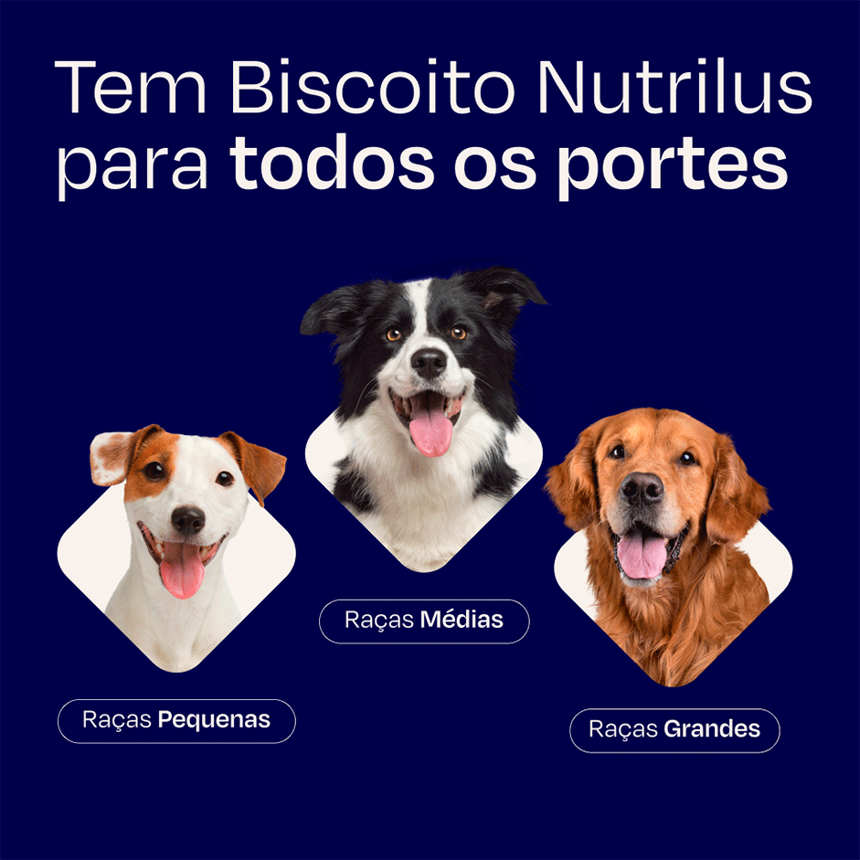 Biscoito Nutrilus para Cães Adultos Porte Pequeno - 500 g