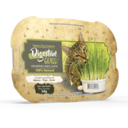 Graminha para Gatos Grass Adultos Digestive - 50 g