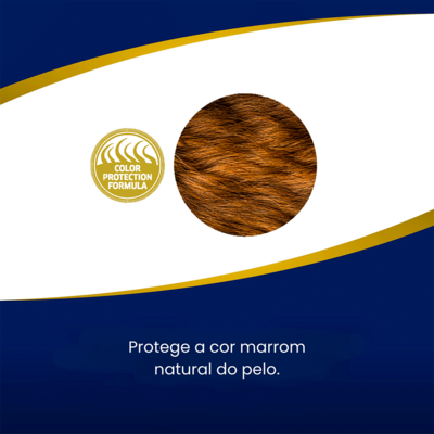 Ração Seca N&D Brown Cordeiro, Spirulina e Cenoura para Cães Adultos de Raças Mini