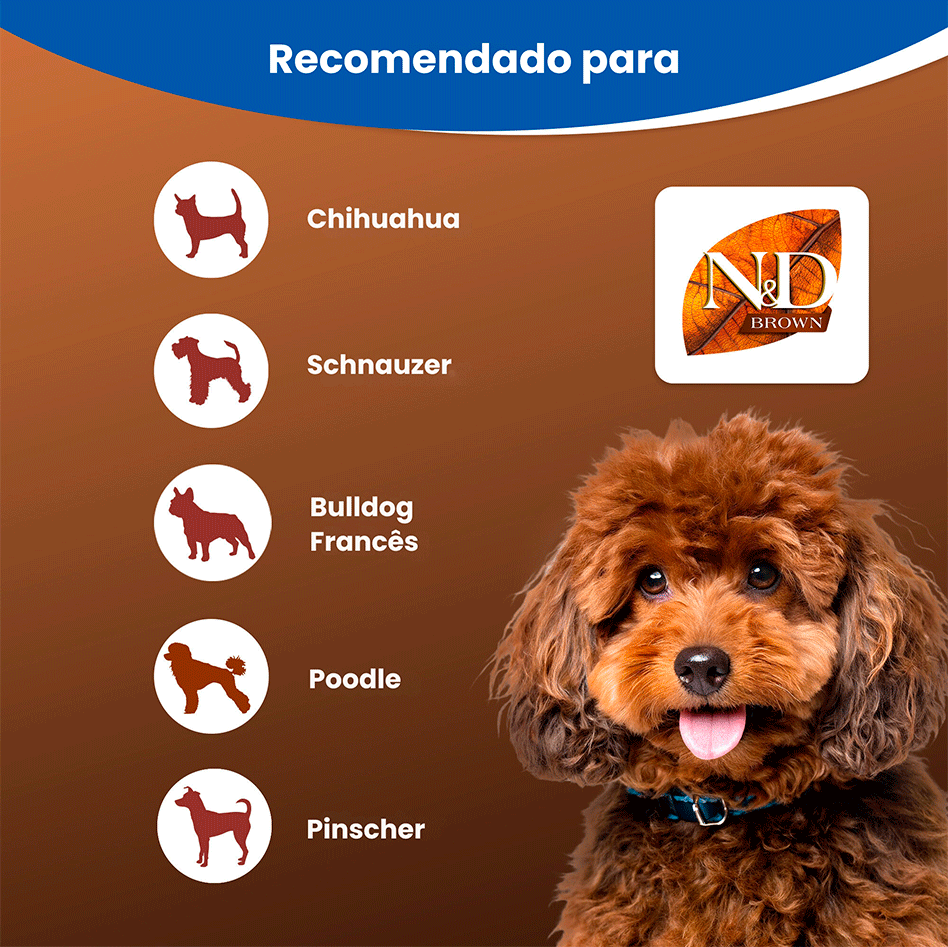 Ração Seca N&D Brown Cordeiro, Spirulina e Cenoura para Cães Adultos de Raças Minis - 2Kg