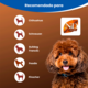 Ração Seca N&D Brown Cordeiro, Spirulina e Cenoura para Cães Adultos de Raças Mini