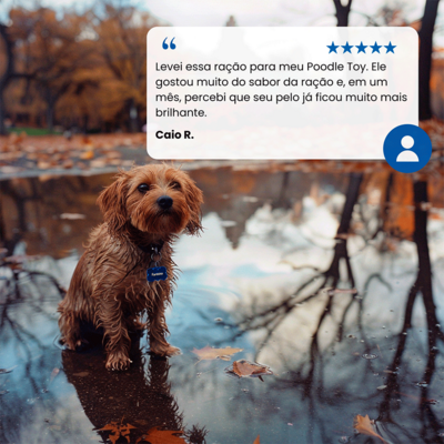 Ração Seca N&D Brown Cordeiro, Spirulina e Cenoura para Cães Adultos de Raças Mini