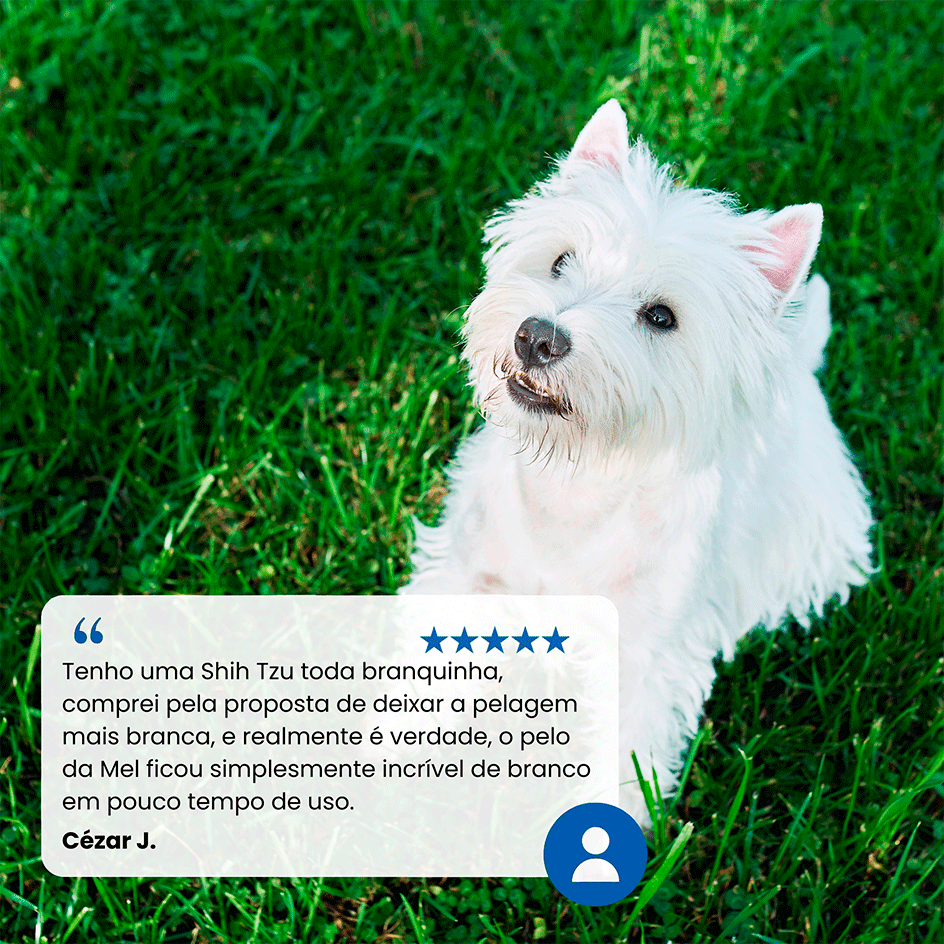 Ração Seca Farmina N&D White para Cães Adultos de Raças Médias e Grandes Sabor Peixe - 7Kg