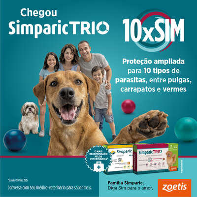 “Antipulgas Zoetis Simparic Trio 24mg para Cães de 10,1 Kg a 20 Kg