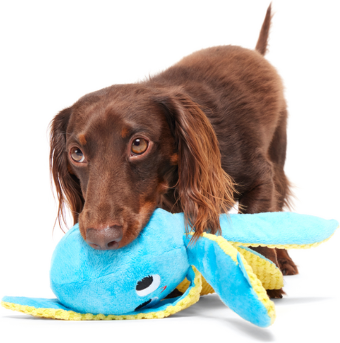 Brinquedo Pelúcia Bark Polvo Otto 2 em 1 para Cães - Tam. Único