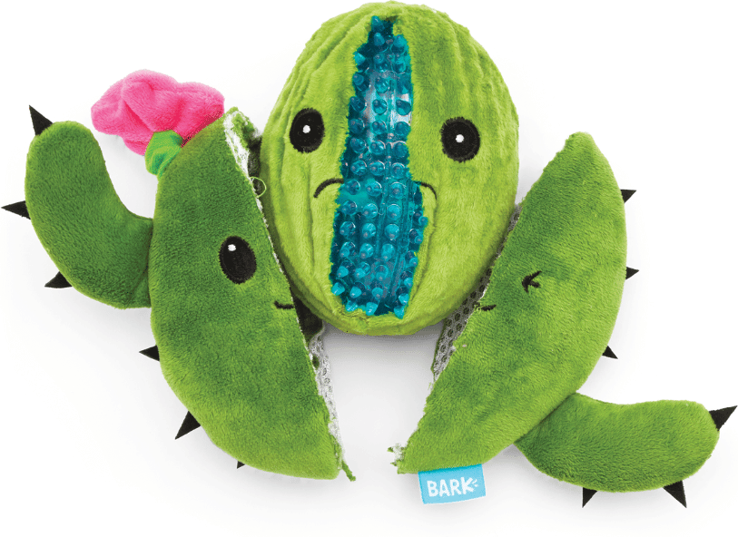 Brinquedo Pelúcia Bark Cacto Consuela 2 em 1 para Cães - Tam. Único