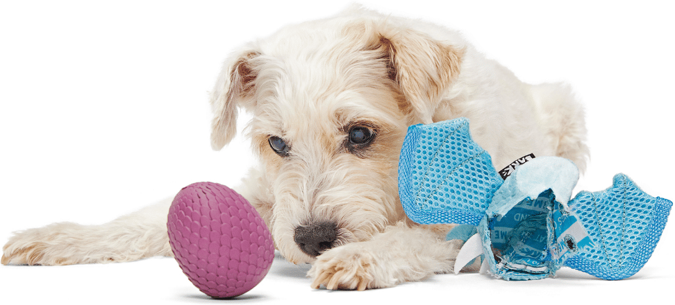 Brinquedo Pelúcia Bark Dragão Brrrtha 2 em 1 para Cães - Tam. Único