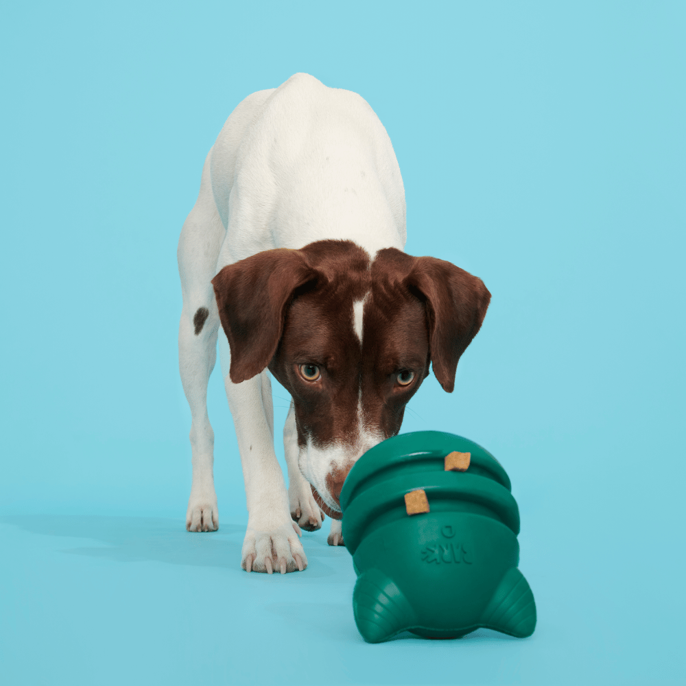 Brinquedo Pelúcia Bark Fera Aurora 2 em 1 para Cães - Tam. Único