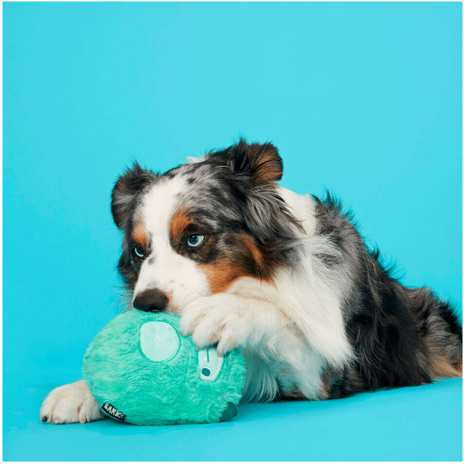 Brinquedo Pelúcia Bark Fera Aurora 2 em 1 para Cães - Tam. Único
