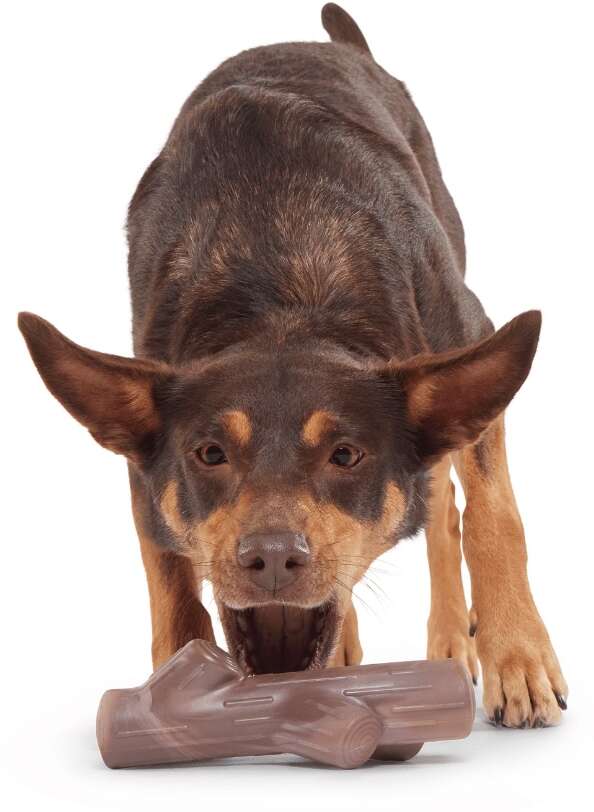 Brinquedo Mordedor Bark Graveto Nylon para Cães - Tam. Único