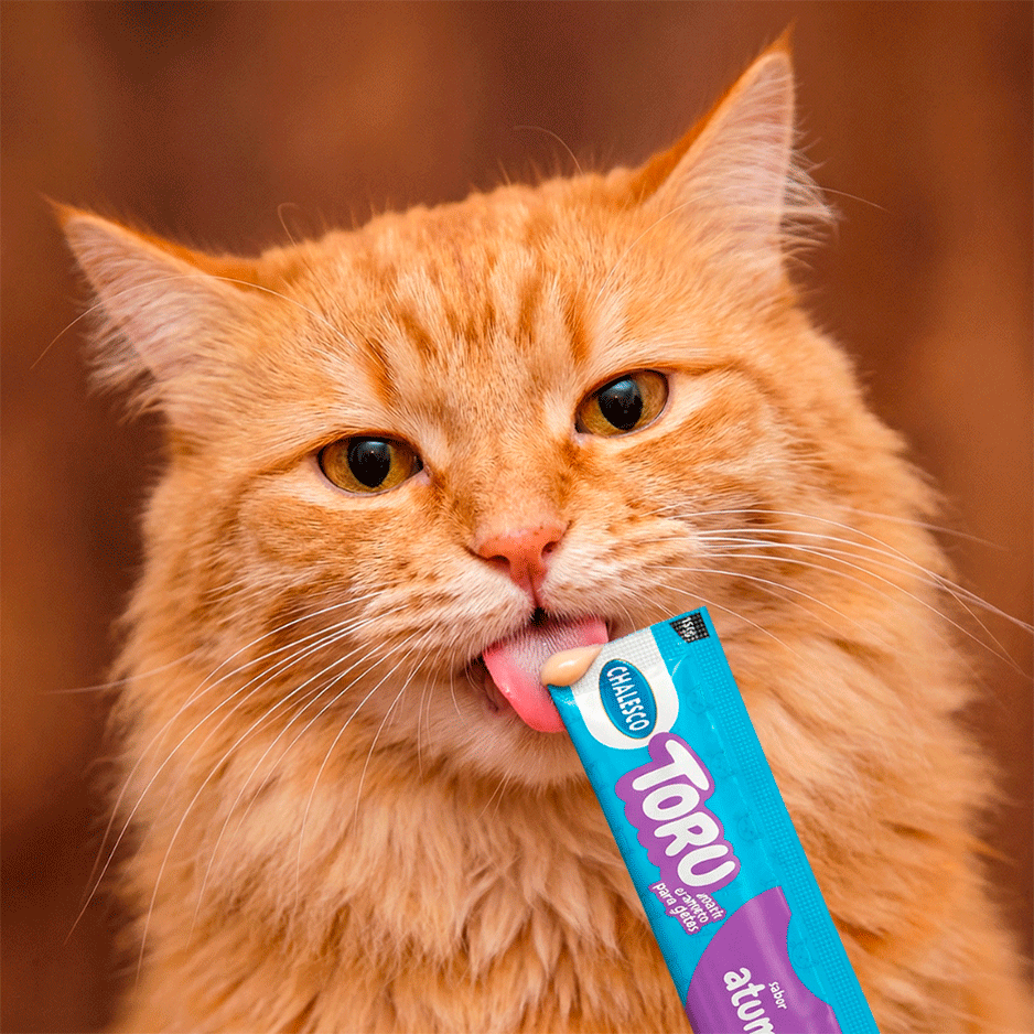 Petisco Cremoso Chalesco Toru para Gatos Adultos sabor Atum - 1 Pacote (4 Unidades)