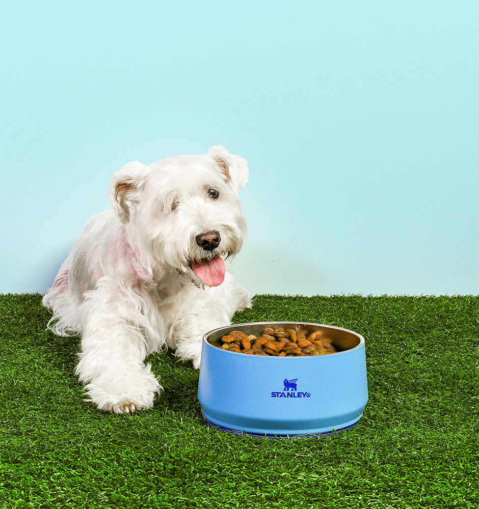 Comedouro Stanley para Cães e Gatos Azul Sky - 1,4 L