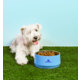Comedouro Stanley para Cães e Gatos Azul Sky