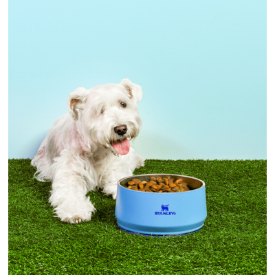 Comedouro Stanley para Cães e Gatos Azul Sky