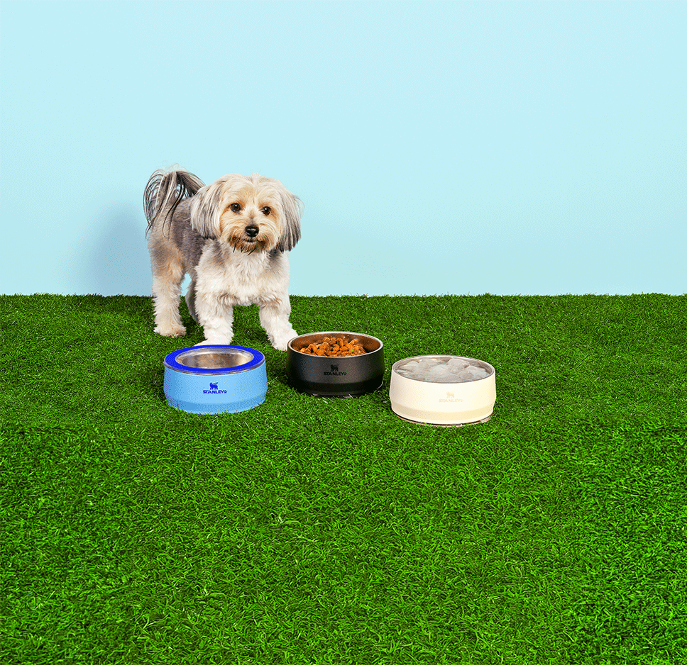 Comedouro Stanley para Cães e Gatos Azul Sky - 1,4 L