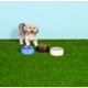 Comedouro Stanley para Cães e Gatos Azul Sky