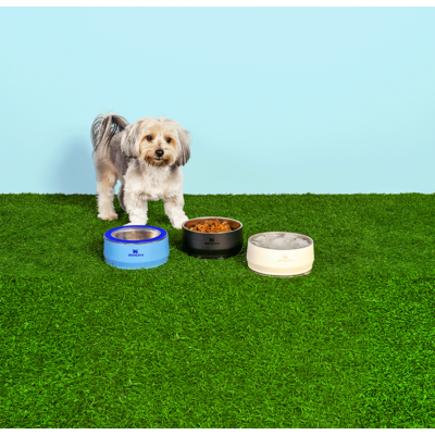Comedouro Stanley para Cães e Gatos Azul Sky