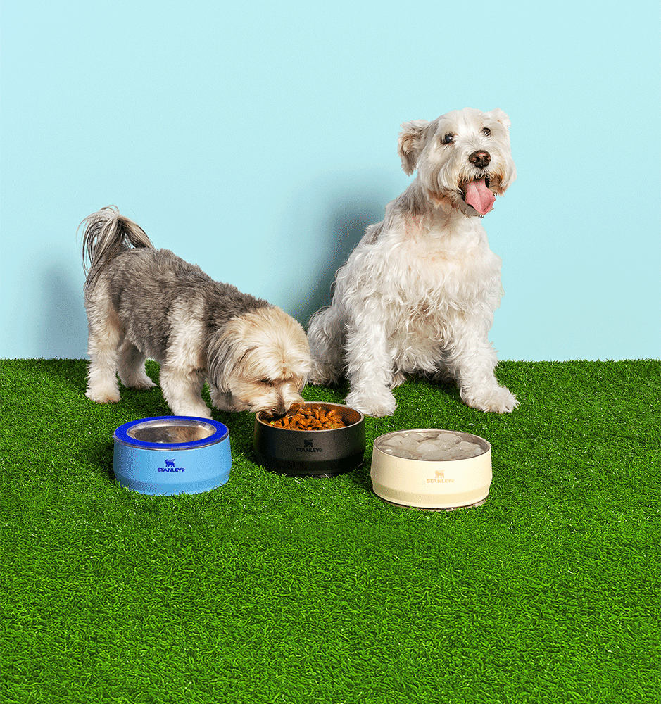 Comedouro Stanley para Cães e Gatos Bege - 1,4 L